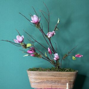 Mandame Magnolia.